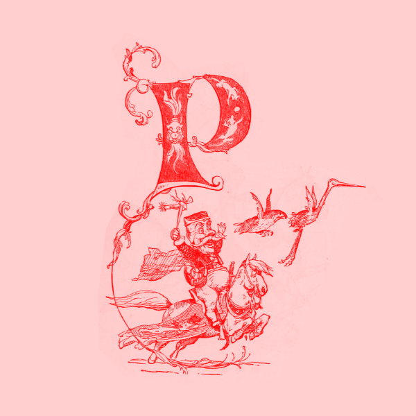 Illustrated P with man on horse and birds in duotone red pink